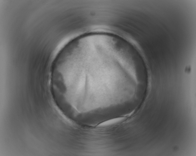 X0000114181376200910221704