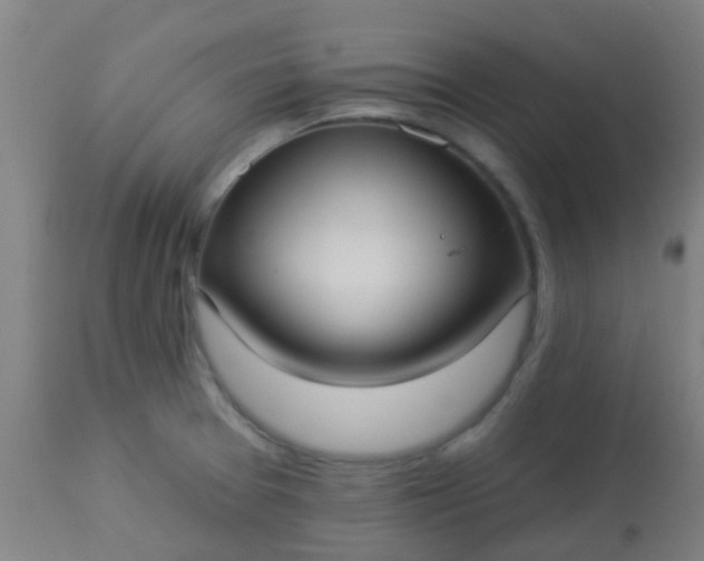 X0000114181377200910221704