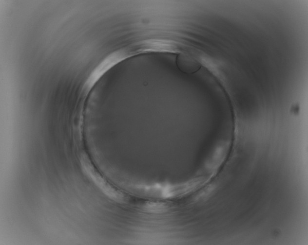 X0000114181378200910221704