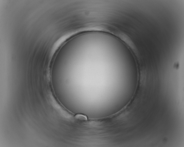 X0000114181380200910221704