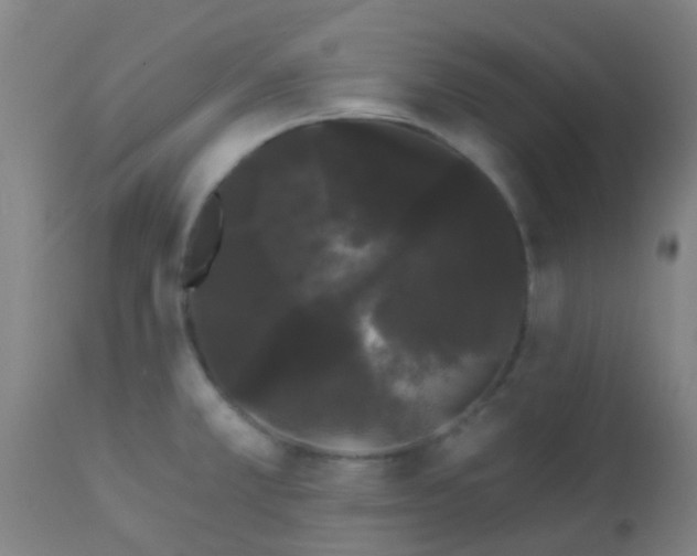 X0000114181381200910221704