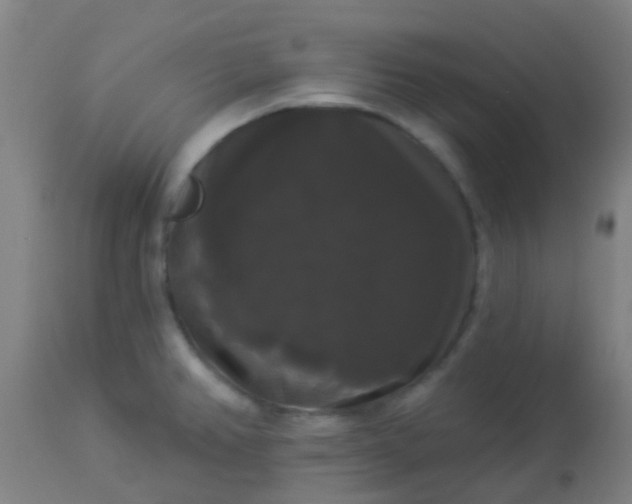 X0000114181382200910221704