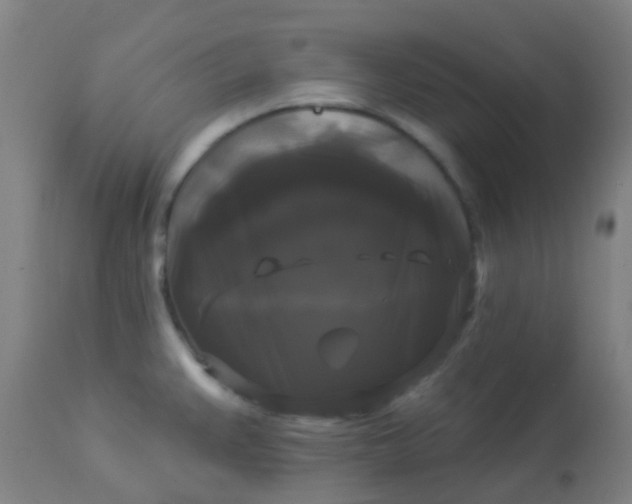 X0000114181383200910221704