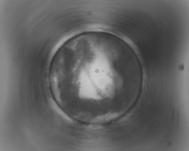 X0000114181384200910221704