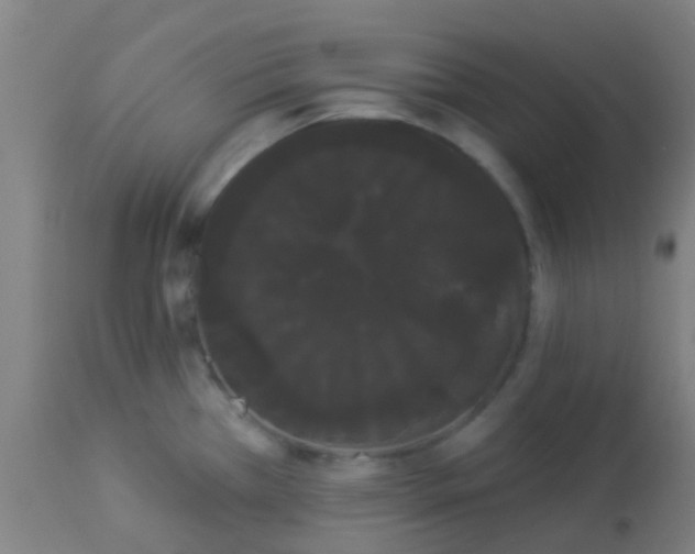 X0000114181385200910221704