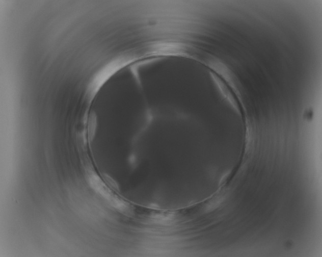 X0000114181386200910221704