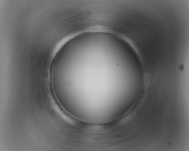 X0000114181387200910221704