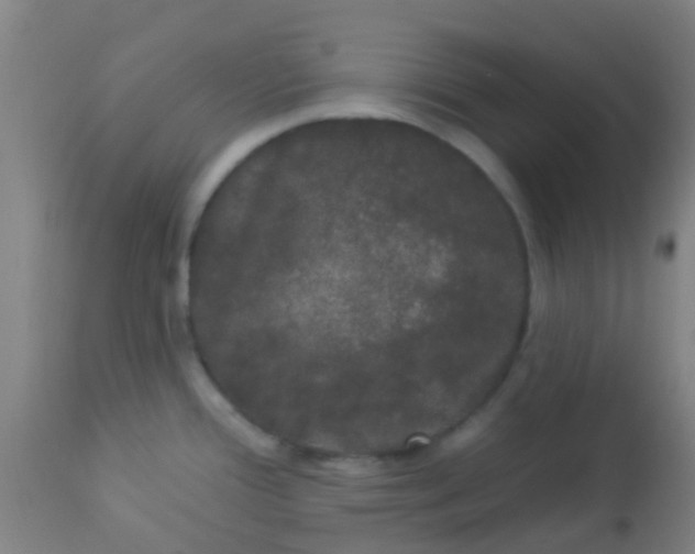 X0000114181388200910221704