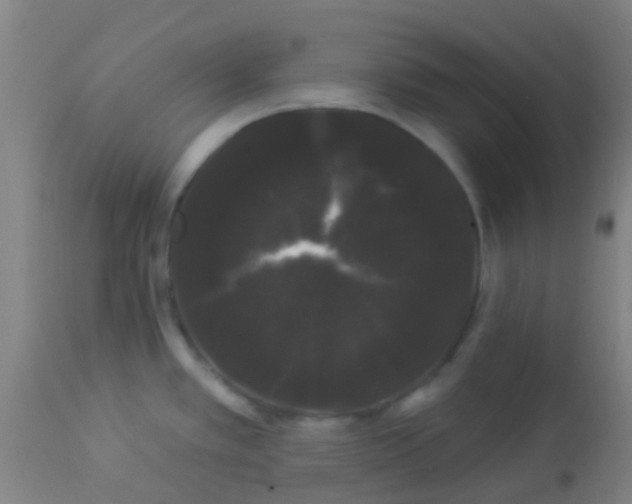 X0000114181389200910221704