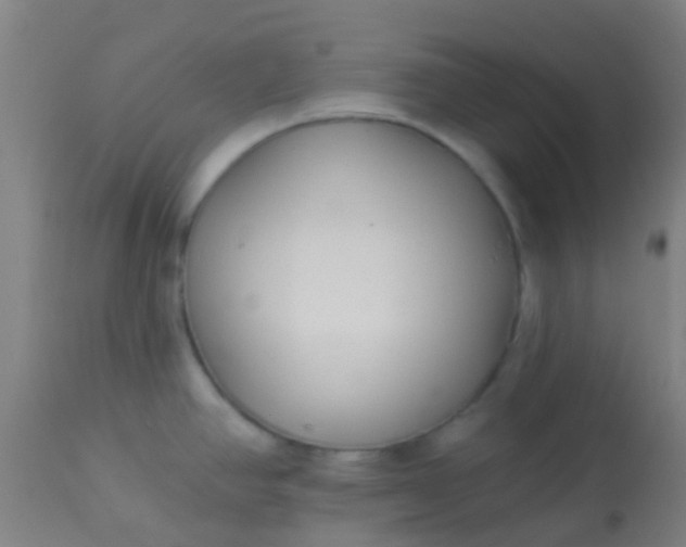 X0000114181390200910221703