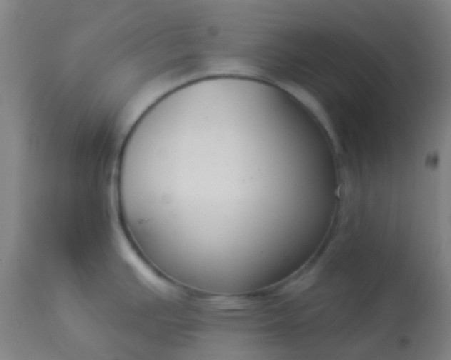 X0000114181391200910221703