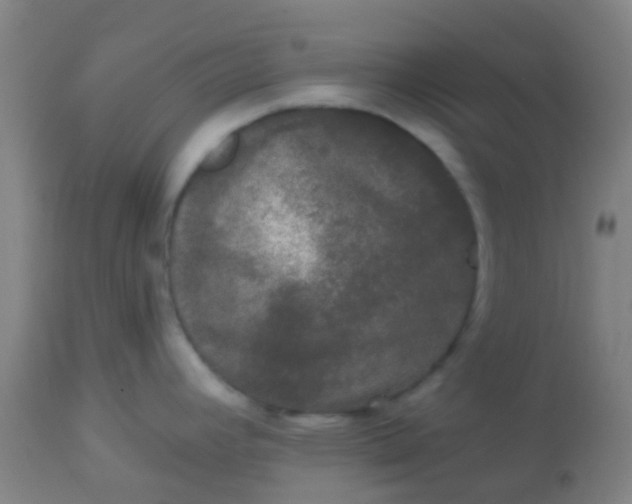 X0000114181392200910221703