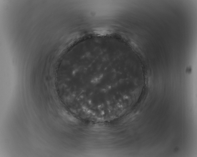 X0000114181393200910221703