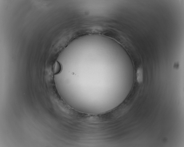 X0000114181395200910221703