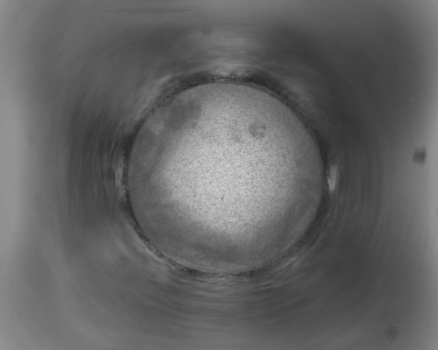 X0000114181396200910221703