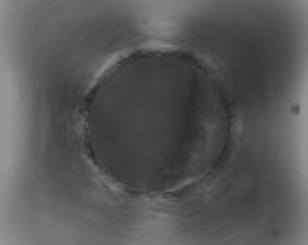 X0000114181397200910221703