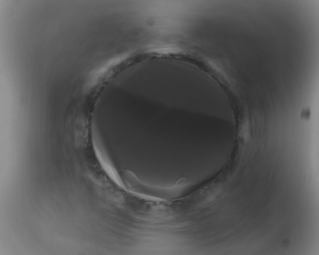 X0000114181398200910221703