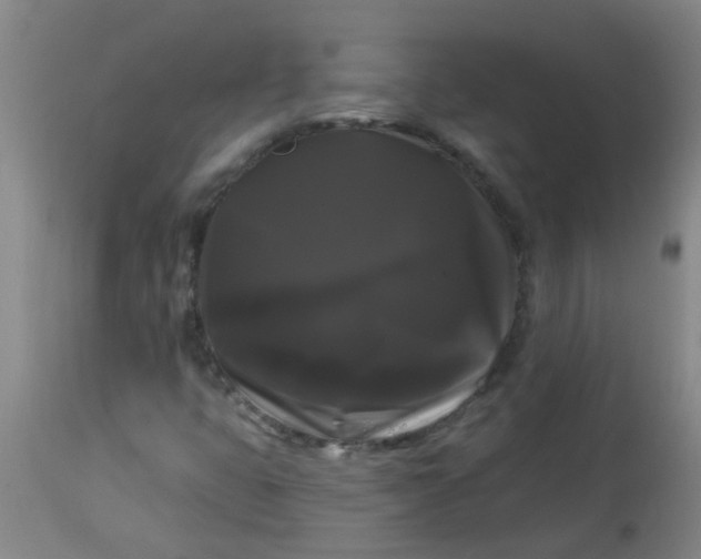 X0000114181399200910221703