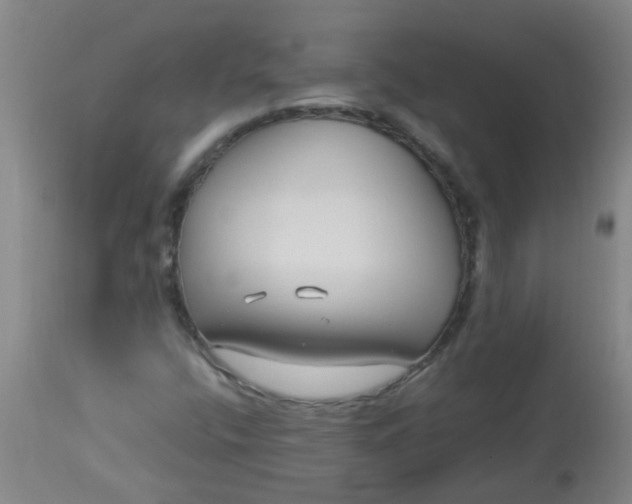 X0000114181400200910221703