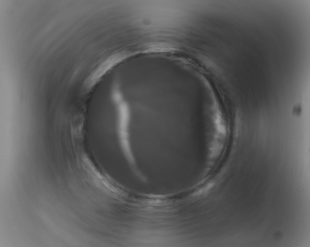 X0000114181401200910221703