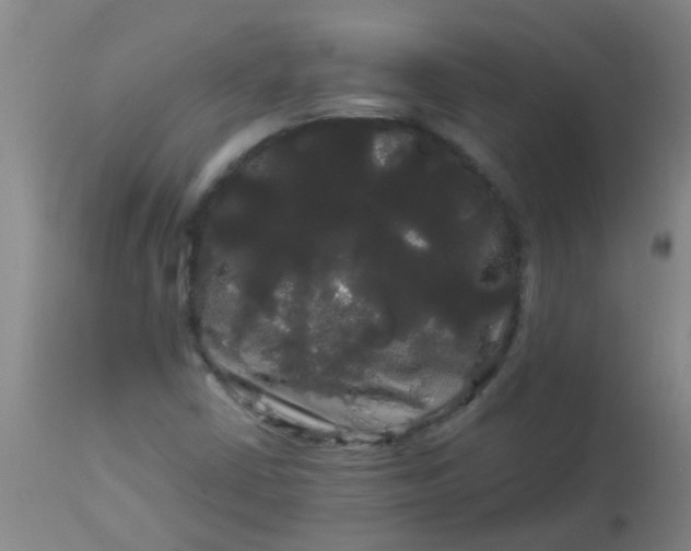 X0000114181402200910221703