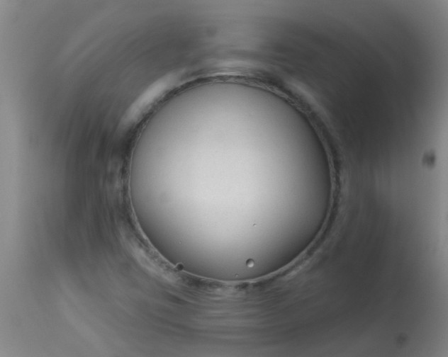 X0000114181403200910221703