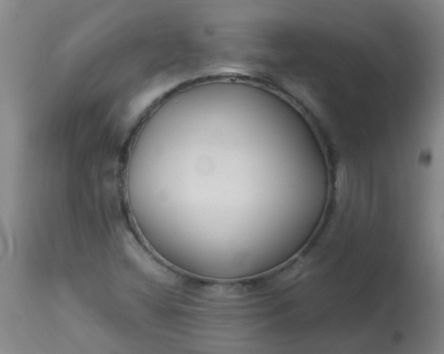 X0000114181404200910221703