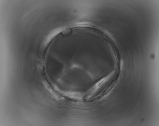 X0000114181405200910221703