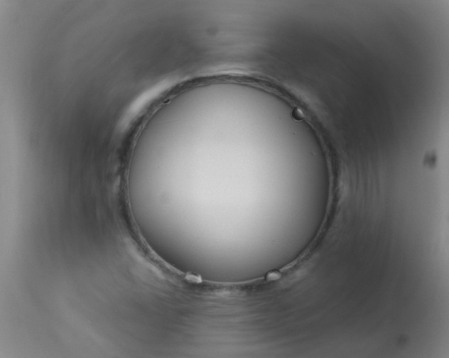 X0000114181406200910221703