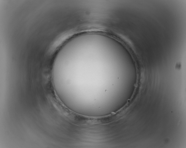 X0000114181407200910221703