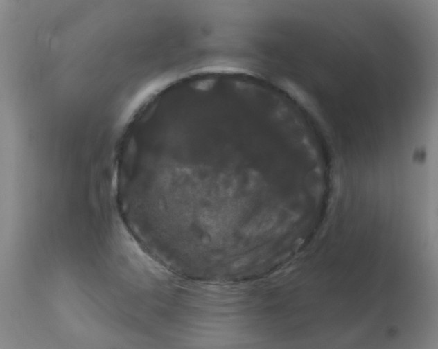 X0000114181408200910221703