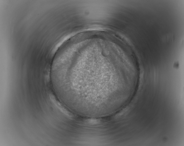 X0000114181409200910221703