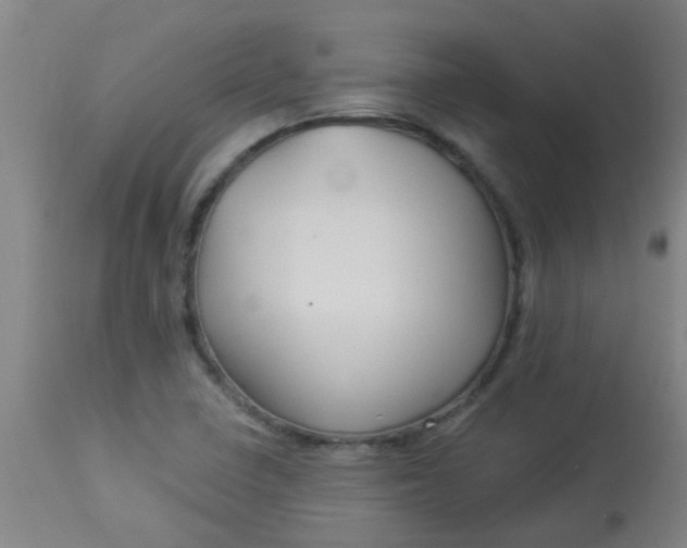 X0000114181410200910221703