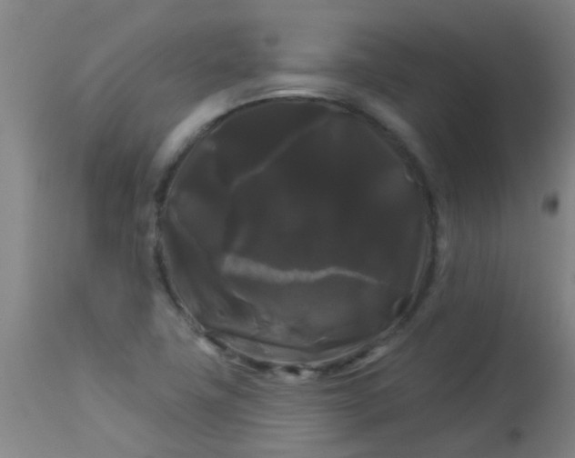 X0000114181411200910221703