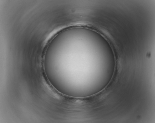 X0000114181412200910221703