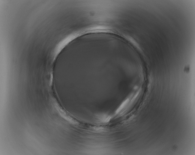 X0000114181413200910221703