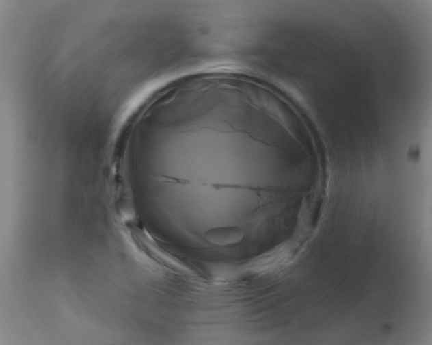 X0000114181414200910221703