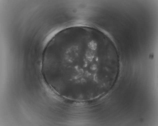 X0000114181415200910221703