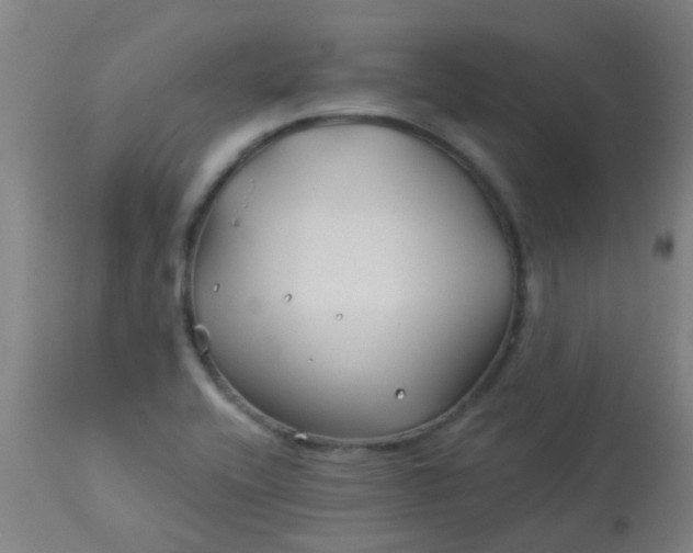 X0000114181416200910221703