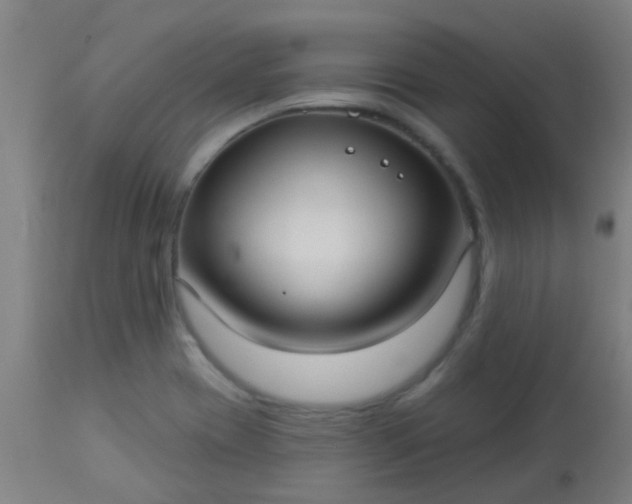 X0000114181417200910221703