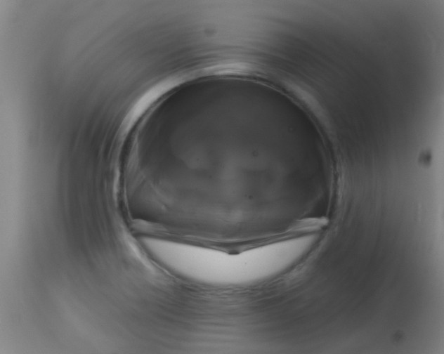 X0000114181418200910221703