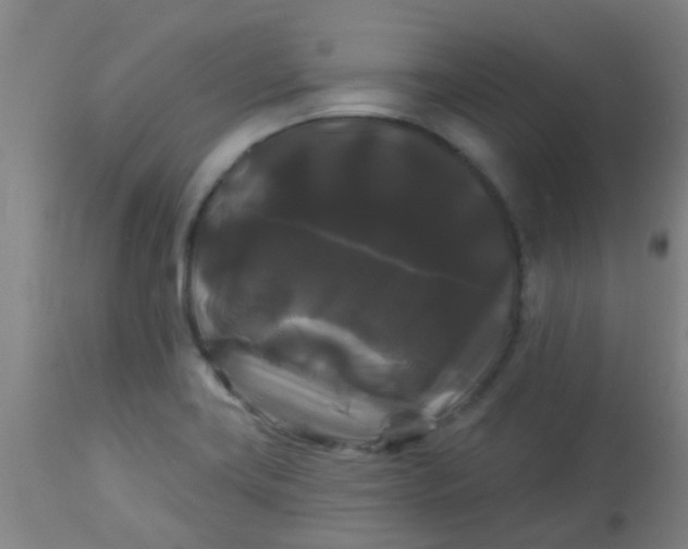 X0000114181419200910221703