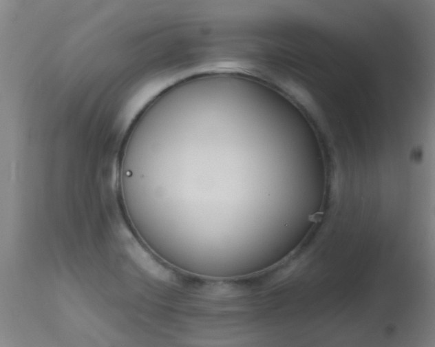 X0000114181420200910221703