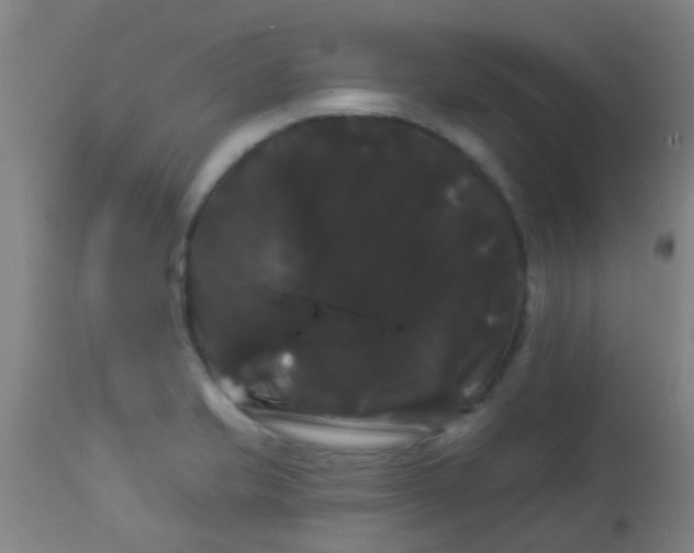 X0000114181421200910221703