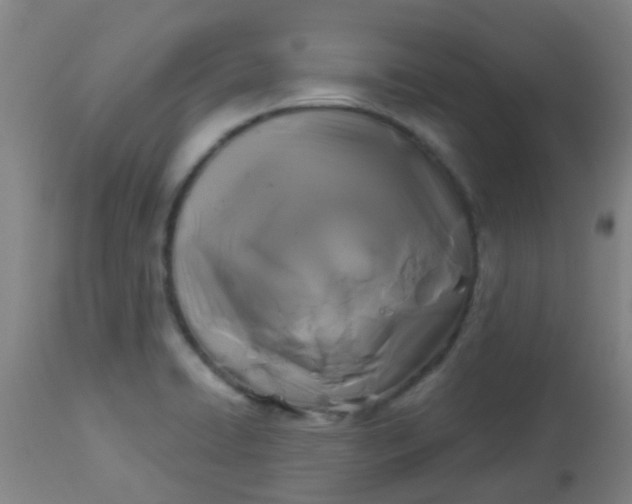 X0000114181422200910221703