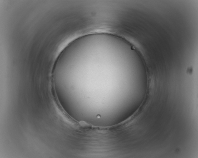 X0000114181423200910221703