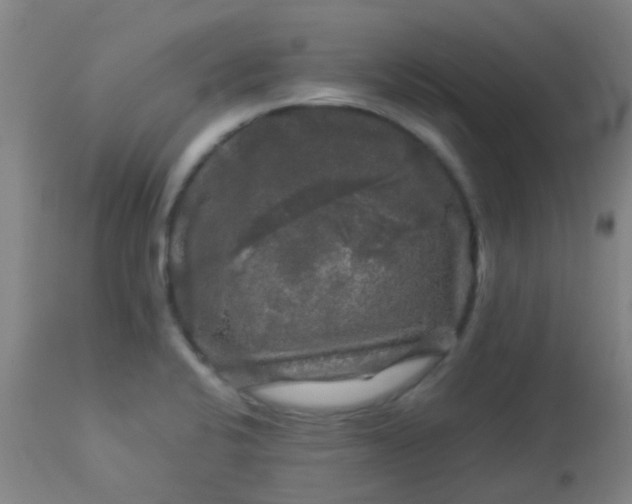 X0000114181424200910221703