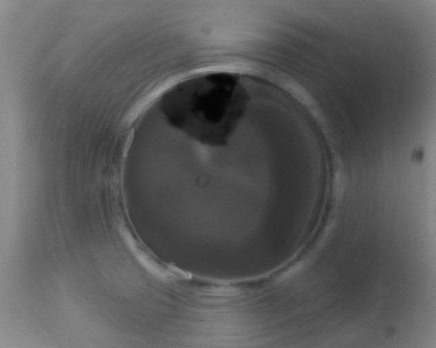 X0000114181425200910221703