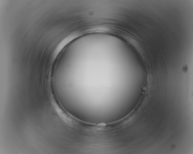 X0000114181426200910221703