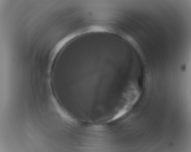 X0000114181427200910221703